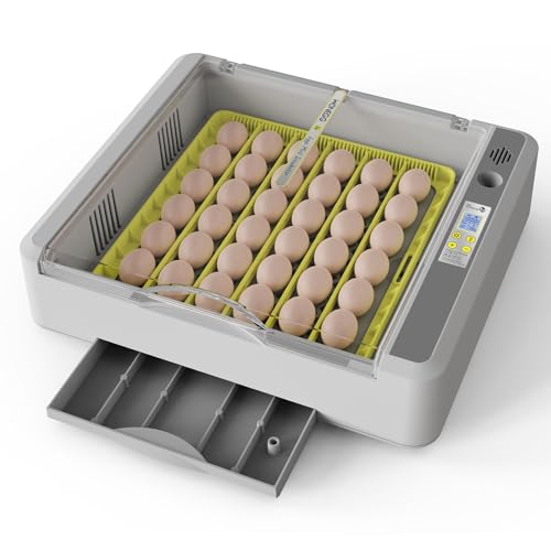 Egg Incubator for Hatching Chicks, 36 Eggs Automatic Turner with Temperature & Humidity Control, Multifunctional Ultra-Clear Panoramic View with Hatch Days & Egg Candler for Chicken, Duck, Goose, Bird - color: SXY-Eg36