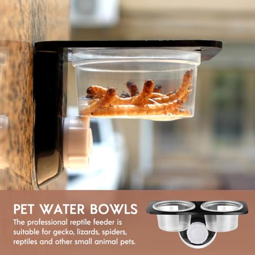 VILLCASE Reptile Food Bowl with Suction Cups, Double Compartment Plastic Pet Water Feeding Dish for Lizards and Geckos, 2pcs Black Terrarium Feeder for Amphibians and Small Reptiles