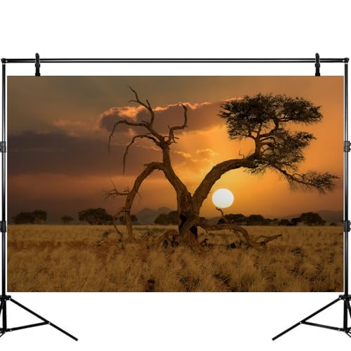 Sunset Desert Reptile Tank Background Beautiful Sunrise Desert Old Tree Terrarium Background Sand Peaks Dunes Sunset Over Desert Reptile Habitat Background Sunset Desert Aquarium Background 72x24in - size: 72(W)x24(H)inches/ 180(W)*60cm(H)