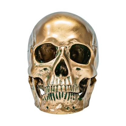 ECYC 1:1 Resin Human Skull Model Halloween Props Home Decorations High Fidelity Skull Head Sculpture Life Size, Bronze