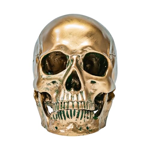 ECYC 1:1 Resin Human Skull Model Halloween Props Home Decorations High Fidelity Skull Head Sculpture Life Size, Bronze