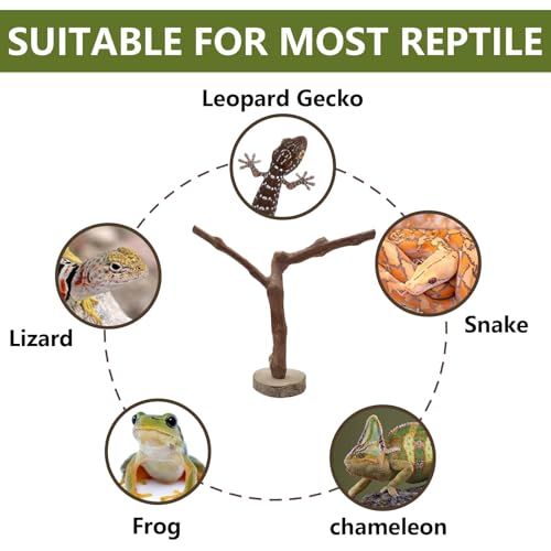 BNOSDM Reptile Grapevine Wood Decoration Lizard Natural Wood Climb Tree Branch Decor Grape Wood Branches Tank Accessories for Leopard Gecko Frog Snake Climbing Terrarium Ornament,7.87in