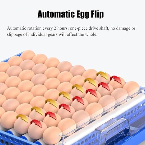 176 Eggs Automatic Chicken Incubators, Farm Poultry Hatcher Machine, LED High-Efficiency Automatic Egg Turning & Temperature Control, for Hatching Chicken Duck Goose Birds - color: 176 Eggs