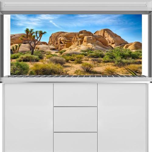 Polyester 5x3ft Joshua Tree National Park Backdrop Arid Barren Cactus Sandstone Rock Climate Mountain and Desert Scenery Backdrop Desert Terrarium Background - size: 5x3ft