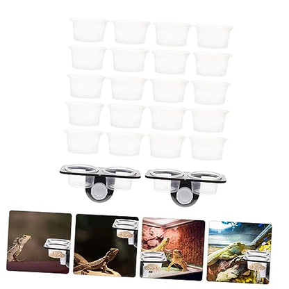 1set Practical Reptile Feeder for Geckos Double Cups Food Bowl Decor for Tank Easy to Clean