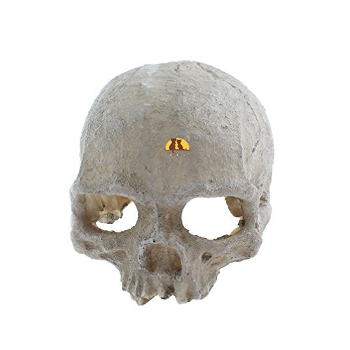 Emours Reptile Hideout Skull Vivarium Aquarium Fish Tank Resin Ornament Cave Decoration, Small