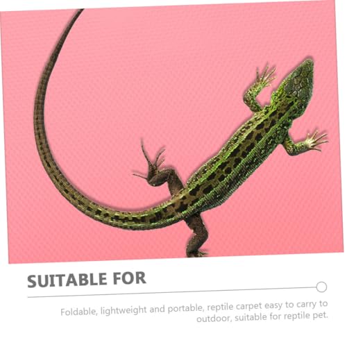 Reptile Carpet Substrate Mat for Leopard Gecko Snake Tortoise Lizard Bedding Terrarium Liner Reusable Cuttable Lightweight Flooring for Reptile Tanks