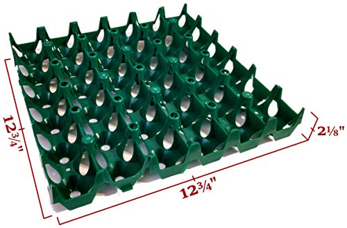 GQF Large Egg Setting Tray