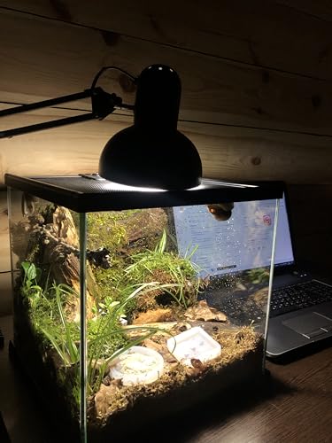 Terrarium Pro Kit – The Ultimate Snail Care Starter Pack for Giant African Land Snails, Helix Aspersa, Helix Pomatia, Grove Snails, etc