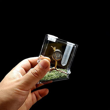 Jumping Spider Micro Middle Habitat, Small Pet Insect Breeding Box, 360 Degree Transparent Reptile Cage, Acrylic Case Mini Carrier for Amphibians, Feeding Container Enclosure Accessories - size: 2x2x2.1inches