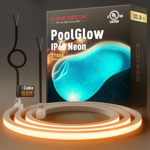Shine Decor IP68 Waterproof LED Strip Light, 24V Pool Rated Submersible Silicone Neon, Underwater Outdoor LED Rope Light for Pool Fountain Waterfall Bathtub, 16x16mm, Warm White, 32.8FT - color: Warm White, size: 10m/32.8ft