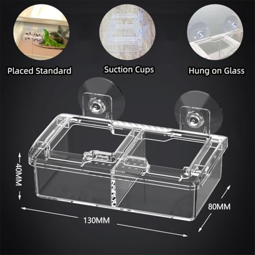 Escape Proof Reptile Feeding Dishes with Suction Cups, Small Anti-Escape Mealworms Bug Food Feeder Bowl for Lizard Leopard Gecko Chameleon Terrarium Tank Accessories