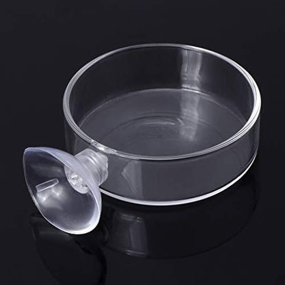 Shrimp Feeder Glass Feeding Dish Aquarium Fish For Tank Reptiles Round Clear Food Bowl With Suction Cups 2.4x0.7 Inch Shrimp Feeding Dish Shrimp Feeding Dish And Tube Shrimp Feeding Dish With Suction
