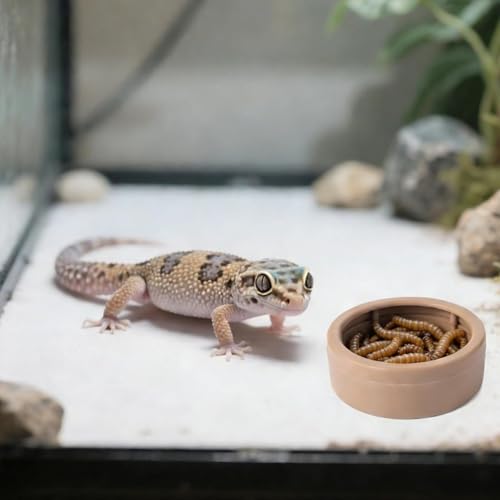 Water Dish for Reptile Tank - 3 Piece Worm Feeder Cups Set, Mealworm Feeding Bowl for Gecko Bearded Dragon Lizards Hermit Crab Snail Terrarium Pet Feeding Accessories
