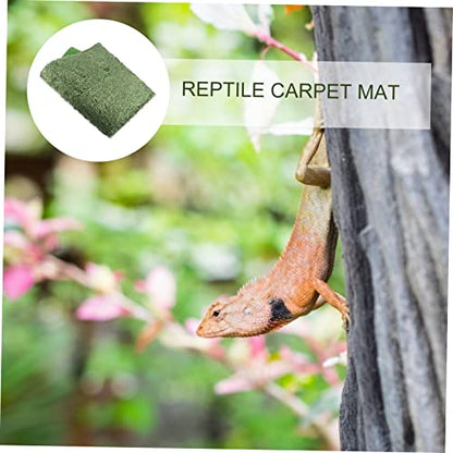 Abaodam 2pcs Reptile Decor Lizard Carpet Moss Reptile Mat Snake Tank Liner Washable Reusable