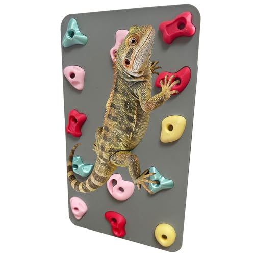 3D Reptile Climbing Wall, Natural Textured Habitat Decor for Bearded Dragons, Leopard Geckos, Lizards, Snakes, Frogs & Amphibians – Terrarium & Paludarium Tank Accessories