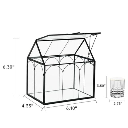 Ferrisland Glass Plant Terrarium Container Wardian Case Indoor Small Succulent Terrarium Planter W/Door for Tabletop Decor DIY (6" L x 4.3" W x 6.3" H) - size: 6" L x 4.3" W x 6.3" H