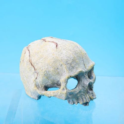 Skull Head Reptiles Hideouts Caves Resin Landscape Decoration Fishtanks Terrariums Accessories for Snake Bearded Dragon Resin Skull Head Decors for Aquariums