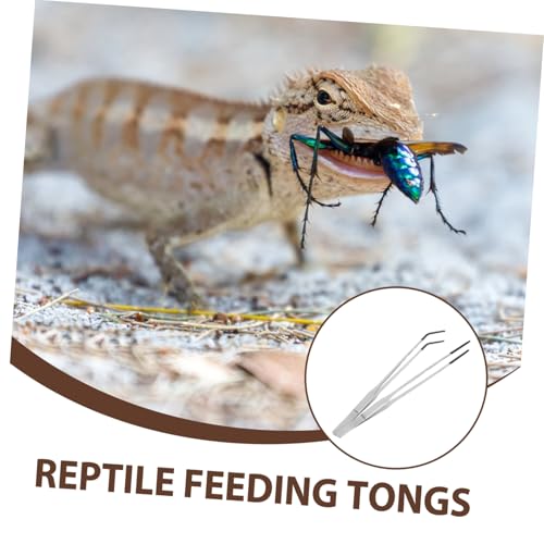 OSALADI 2pcs Aquarium Tweezers Stainless Steel Curved Tongs Long Handle Reptile Snake Feeding Tongs Accessories For Aquatic Plants Lizards