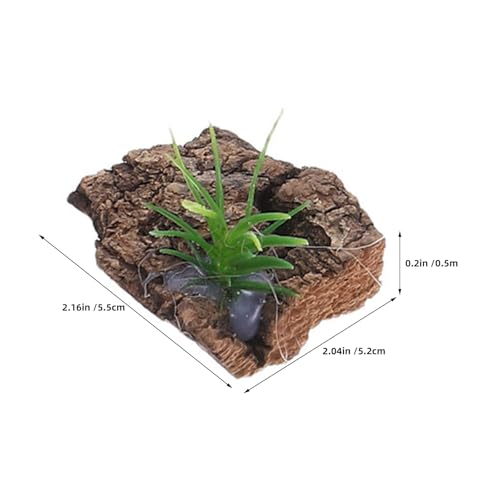 BESPORTBLE 36Pcs Tree Bark for Reptile Terrarium Background - Natural Decorative Bark Pieces for Gecko Chameleon Lizard Enclosure Hideout Climbing Accessory