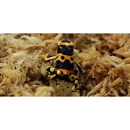 Reptile Spagnum Moss Sphagnum Moss Dried Spagnum Dry Moss for Reptiles Bedding and Terrarium Pet Supplies 150g