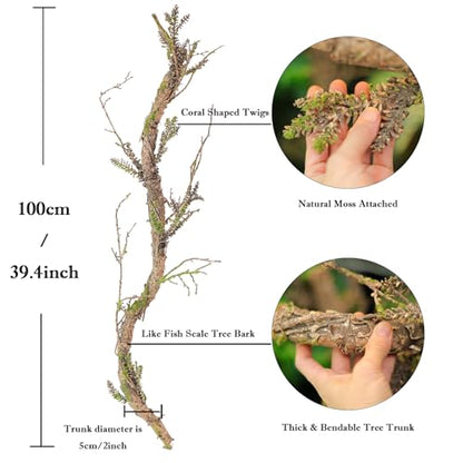 2Pcs 39.4inch Thick Bendable Artificial Tree Trunk Fake Large Wood Branches Twig Moss Grape Vine Garland Twisted Stick For Terrarium Outdoor Hanging Mantel Reptile Climbing Wall Yules Decorations