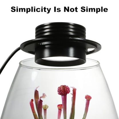 Desktop Glass Terrarium with Grow Light (H:7.8" D:6.7"), for Succulent, Moss, Miniature Gardening Landscape, Betta Fish Tank, Indoor Plant Growth, Office Home Decoration, Plant Lovers Gifts