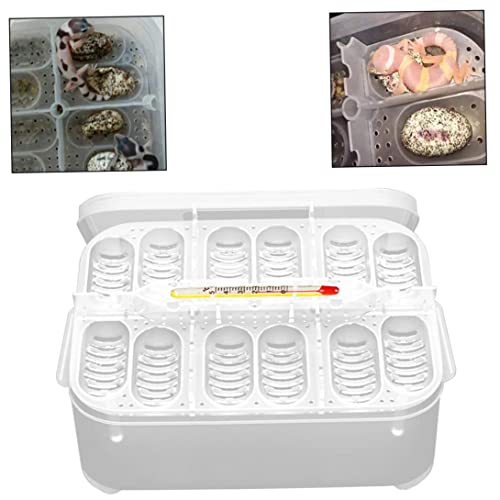 12 Grids Reptile Breeding Box, Incubator Egg Tray Hatching Box with 12 Grids for Turtle, Gecko, Lizards, Mane