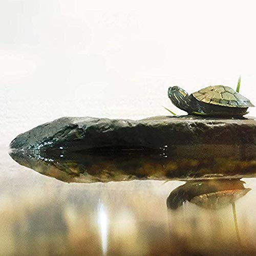 OMEM Reptile Box Shelter Terrarium Hideout Habitat Decor Humidify Hide Cave Turtle Ramp Basking Platforn Resin Rock