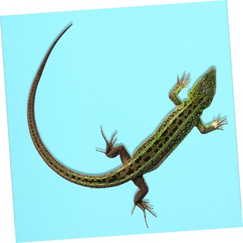 Totority Reptile Carpet Substrate Pad for Terrarium Tank Washable Foldable Bedding Liner for Bearded Dragon Gecko Lizard Snake and Tortoise Habitat Portable Reptile Tank Mat