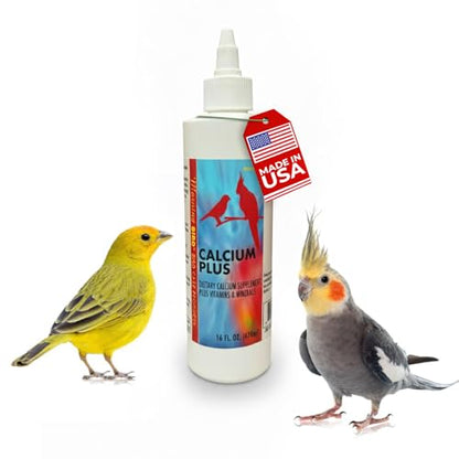 Morning Bird Calcium Plus Liquid for Birds – Calcium Supplement with Vitamins and Minerals for Strong Eggshells, Healthy Bones - Support Growth, Breeding, and Wellness for All Birds 16 Fl Oz - size: 16 Fl Oz
