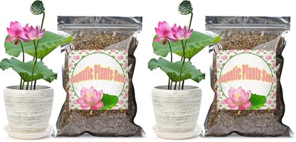 Doter Aquatic Soil for Plants - 2.2LBS, Clay Aquarium Soil Suitable for Small Ponds & Water Plants Like Lotus & Water Lily, Safe for Fish & Aquatic Life (Pack of 2) - size: 2.2 LBS (Pack of 2)