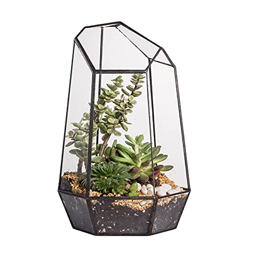 NCYP No Door Geometric Glass Terrarium Planter for Small Succulent, Small Cacti, Black Irregular Opened Terrarium Pot, Indoor Home Garden Office Tabletop Decor, 6.5" x 5.7" x 9.8" (No Plants) - size: 6.5"x5.7"x9.8"
