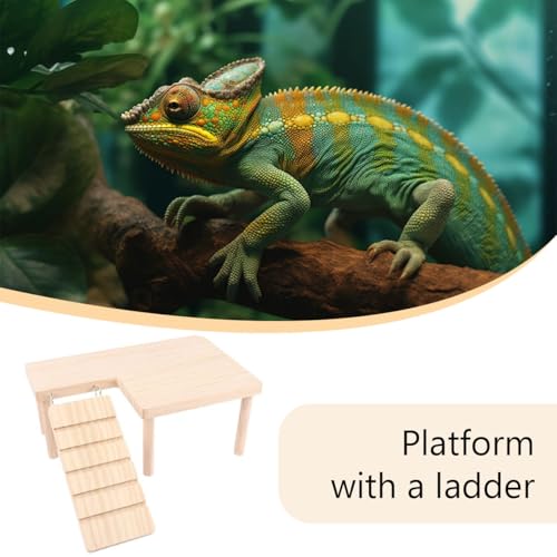 Reptiles Hideout Wooden with Climbing Ramp Bearded Dragon Hide Cave Wood Aquariums & Terrariums Accessories for Bearded Dragons Leopard Geckos Lizards Turtles Hamsters(Large)
