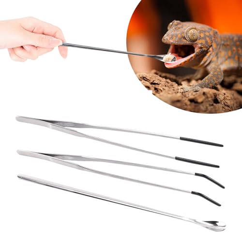 3Pcs Reptile Feeding Tool Set, 2 Tipped Tongs and 1 Feeding Spoon, Stainless Steel Crested Gecko Feeding Spoon for Geckos, Lizards, Bearded Dragons, Small Animals (Silver) - color: Feeding Set Silver