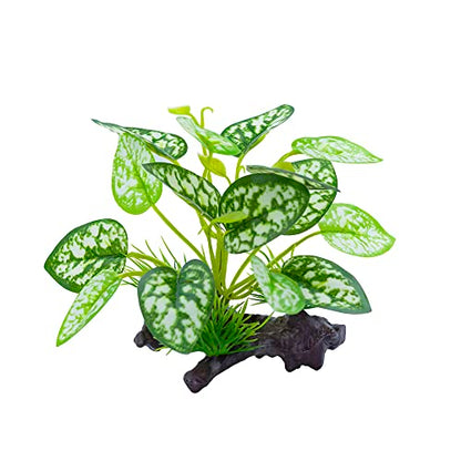 Reptile Artificial Plants, Terrarium Plants Decorations Supplies, Amphibian Habitat Hideout Tank Accessories, Rainforest Ground Plant