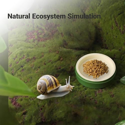 2 Pack Snail Water and Food Bowl，atural Design Food Bowl for Pet Snails, Garden Snails Pet Land Snail Terrarium Supplies - color: green
