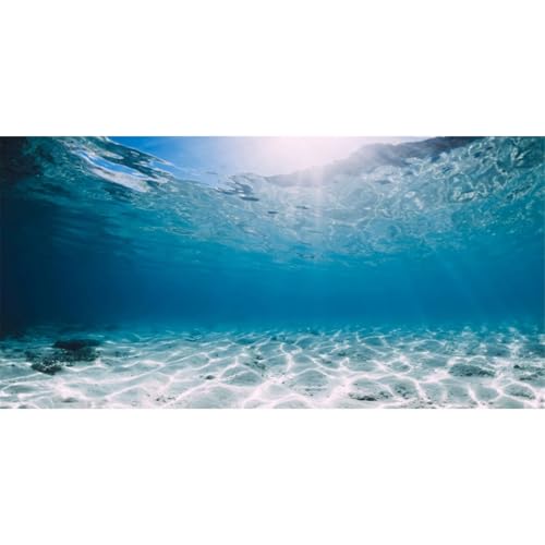 AWERT 24x12 inches Polyester Undersea Theme Ocean Floor Aquarium Background Tropical Fish Tank Background - size: 24x12in/60x30cm