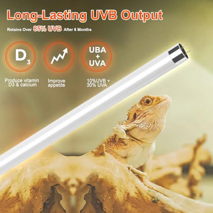 8W T5 10.0 UVB Reptile Light Fixture 12" – High Output UVA UVB Light for Bearded Dragons, Turtles & Snakes – Compact UVB Lamp for Desert & Tropical Reptiles (UVB 10.0-Desert, 12INCH-8W) - size: 8W-12 Inch-T5 Fixture