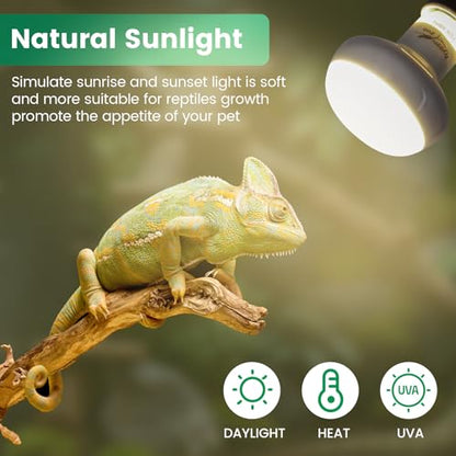 Reptile Heat Lamp Bulbs 100W (2-Pack) – Efficient Heating & Simulated Sunlight Basking Light for Amphibians, Bearded Dragon, Lizard, Turtle, Chicken – E26 Base - color: White, size: 100W