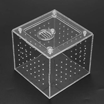 Reptile Breeding Acrylic Box Durable with Ventilation Holes for Snakes, Lizards, and Insects 3.9 * 3.9*.5in for Tarantulas, Geckos, and Crickets