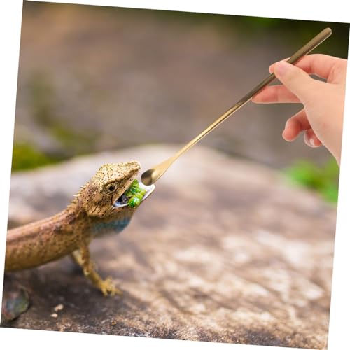 Mikikit 3Pcs Reptile Food Feeding Tool Spoon for Gecko Lizard for Wet Food Mixing Stirring Durable Pet Supply for Easy Feeding