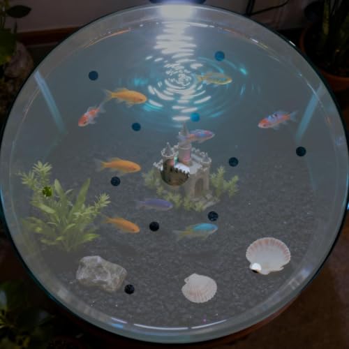 Clear Round Acrylic Aquarium Lid 5mm Anti-Escape Cover，Turtle Tank lid(A,22cm(8.66in)) - color: A, size: 22cm(8.66in)