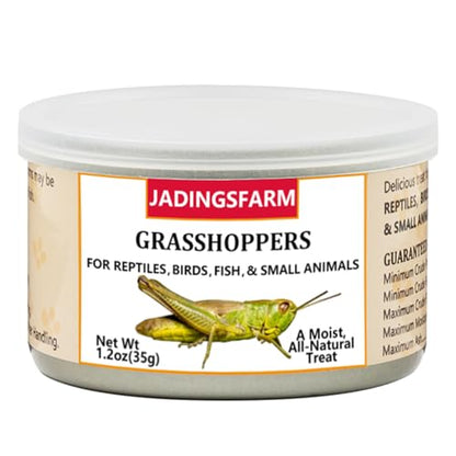 6 Pack Canned Grasshoppers for Reptiles, Fish, Birds and Small Animals, Grasshoppers, Healthy High Protein Treat, Bearded Dragon Food 7.2 Ounces Total