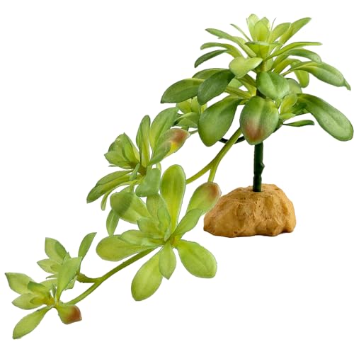 Woyrise Reptile Plants Succulent, Artificial Desert Plant for Terrarium Decor, Bearded Dragon Tank Accessories fit Gecko Lizard Chameleon Ball Python Snake - Sedum Palmeri - color: Sedum Palmeri