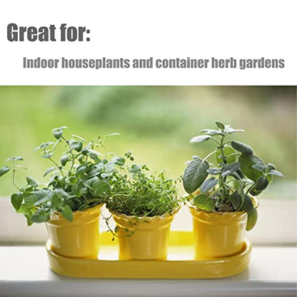 Doter Organic Potting Soil Mix 4qt for All Indoor & Outdoor Small Containers Including Herbs, Vegetables, and Flowers - size: 4qt