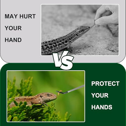 2PCS Stainless Steel Reptile Feeding Tongs with Rubber Tip, 10.6" Straight and Curved Long Tweezers Terrarium Aquascape Tools Feeder for Lizards, Bearded Dragon Snake Enclosure Tank Accessories