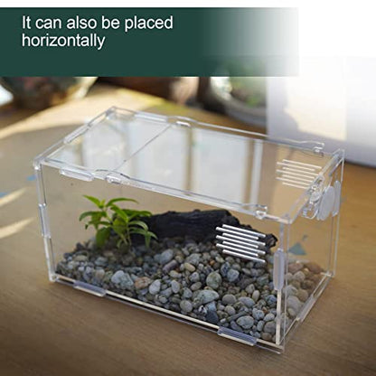 BETAZOOER Acrylic Mini Reptile Tank Habitat Transparent Terrariums with Locking Latch Suitable for Tarantula Isopod Roach Invertebrates (4''x4''x8'') - size: Small