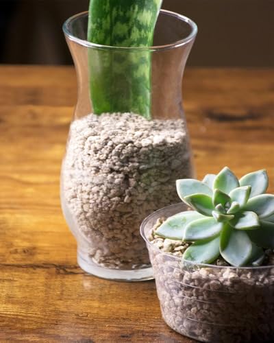 SuperMoss (24552) Horticultural Pumice Stone – Premium Soil Amendment for Succulents, Cactus, Bonsai & Orchids – Ideal for Terrariums, Bonsai Pots & More, 1/4” Sifted, 2 Quarts Bag - size: 2 Quarts