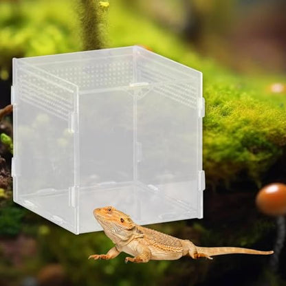 Reptile Breeding Box Terrarium Clear Animal Habitat Cage with Ventilation Holes for Geckos Frogs Hermit Crabs- 10x10x10cm - size: 10x10x10cm